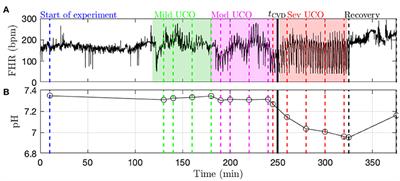 Distance to Healthy Metabolic and Cardiovascular Dynamics From Fetal Heart Rate Scale-Dependent Features in Pregnant Sheep Model of Human Labor Predicts the Evolution of Acidemia and Cardiovascular Decompensation